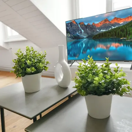 Book2stay Moderne Olma-areal *