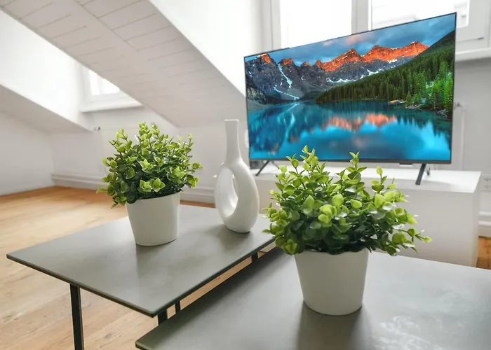 Book2stay Moderne Olma-areal *