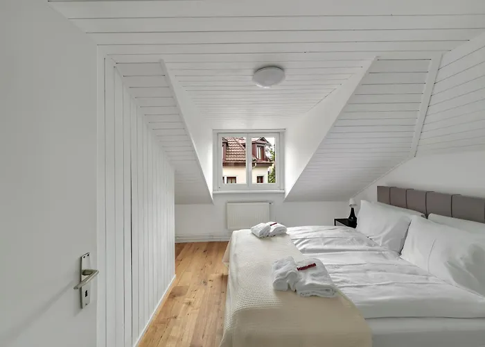 Book2stay Moderne Olma-areal *