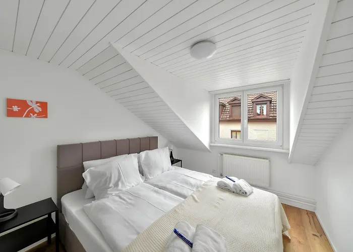 Book2stay Moderne Olma-areal 圣加仑