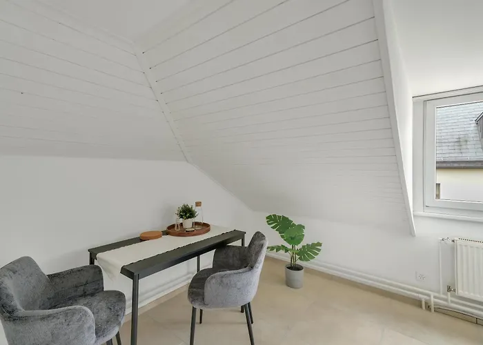 Book2stay Moderne Olma-areal Apartamento